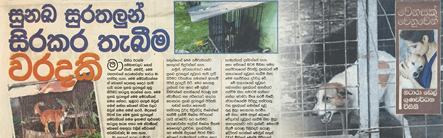 සුනඛ සුරතලුන් සිරකර තැබීම වරදකි