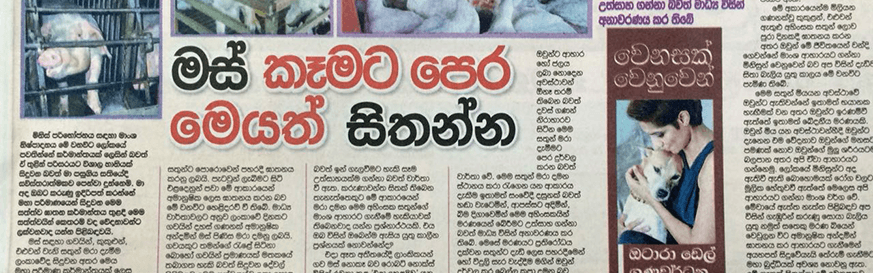 මස් කෑමට පෙර මෙයත් සිතන්න