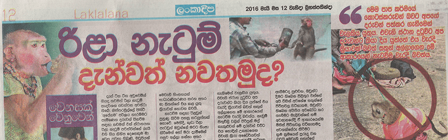 රිළා නැටුම් දැන්වත් නවතමු