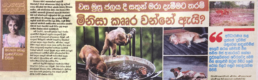 වස මුසු ජලයදී සතුන් මරා දැමීමට තරම් මිනිසා කෲර වන්නේ ඇයි?
