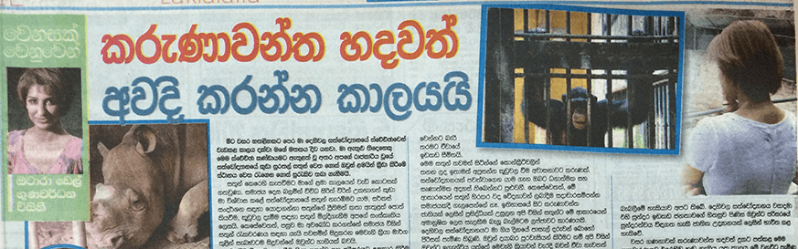 කරුණාවන්ත හදවත් අවදි කරන්න කාලයයි