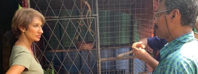 Visit to the Attidiya Wildlife Rescue Centre