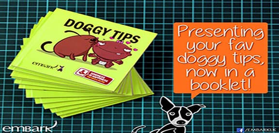 The Doggy Tips Book!