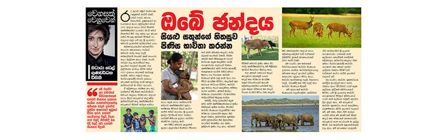 ඔබේ ඡන්දය සියළු සතුන්ගේ හිතසුව පිණිස භාවිතා කරන්න