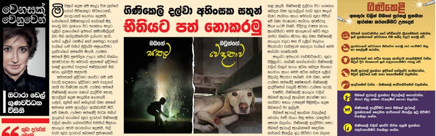 ගිණිකෙලි දල්වා අහිංසක සතුන් භීතියට පත් නොකරමු