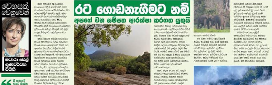 රට ගොඩනැගීමට නම් අපගේ වන සම්පත ආරක්ෂා කරගත යුතුයි