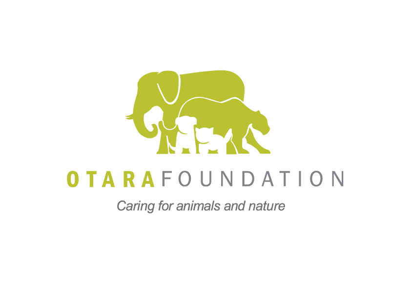 A Voice for the Voiceless