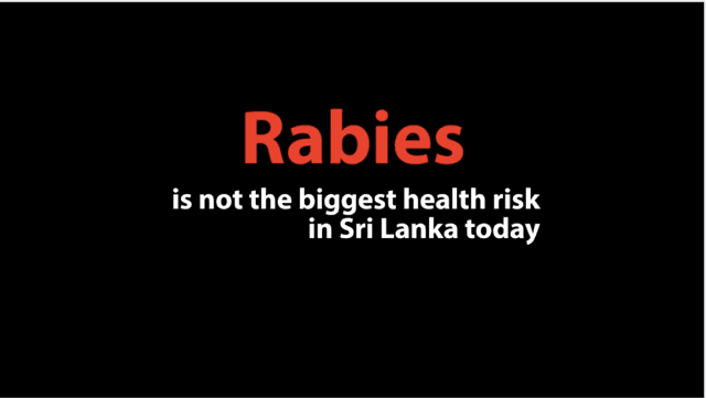 World Rabies Day 2017