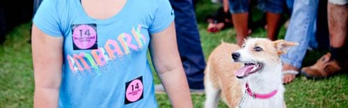 Street Pooch Pawty rocks CH and FC