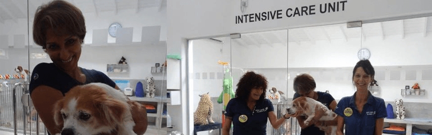 Visit to Dog Care Clinic e.V