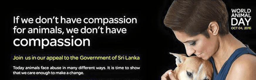 Otara Foundation appeals for enactment of new Animal Welfare Bill